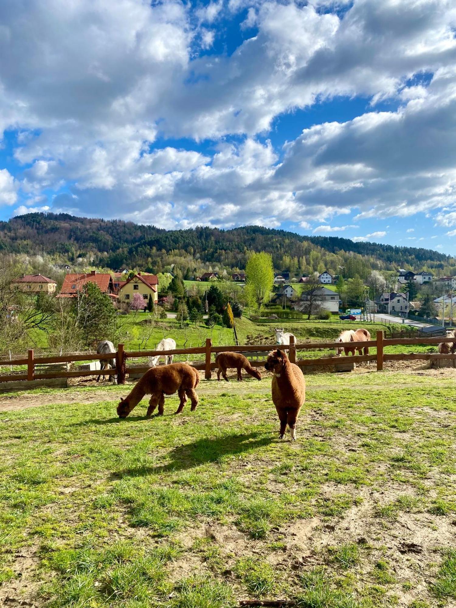 Rancho-Bierna Villa Kültér fotó