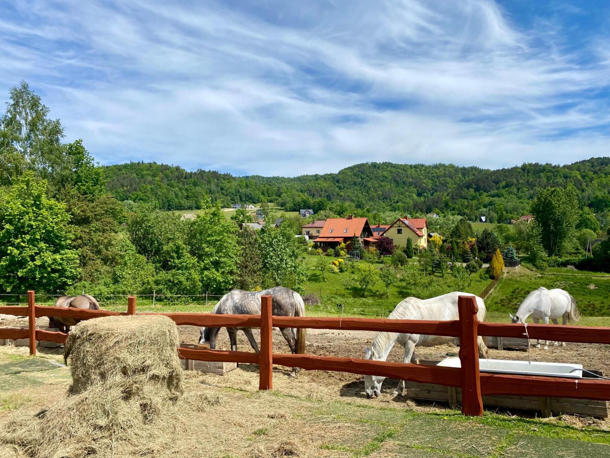 Rancho-Bierna Villa Kültér fotó